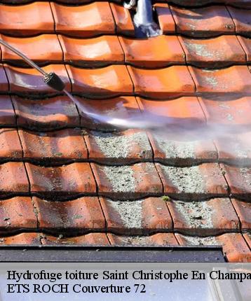Hydrofuge toiture  saint-christophe-en-champagn-72540 ETS ROCH Couverture 72