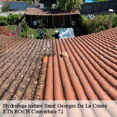 Hydrofuge toiture  72150