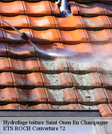 Hydrofuge toiture  saint-ouen-en-champagne-72350 ETS ROCH Couverture 72