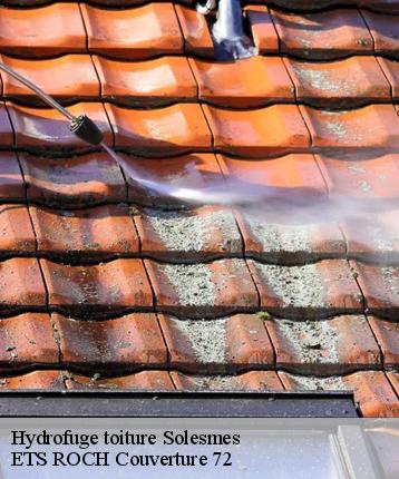 Hydrofuge toiture  solesmes-72300 ETS ROCH Couverture 72