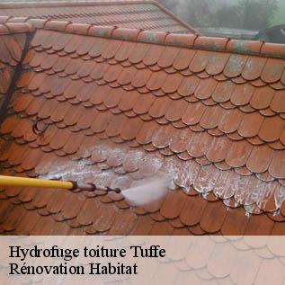 Hydrofuge toiture  72160