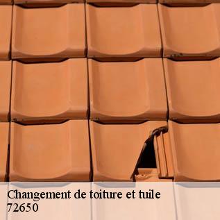 Changement de toiture et tuile  72650