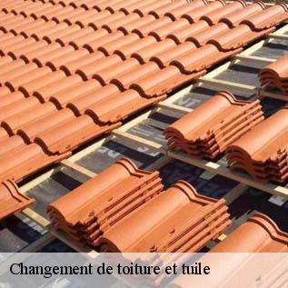 Changement de toiture et tuile  72650