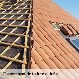 Changement de toiture et tuile  72650