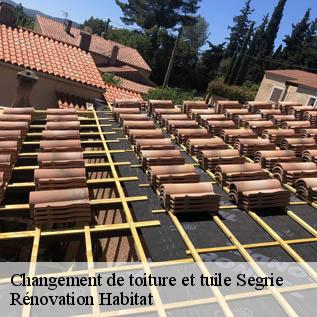 Changement de toiture et tuile  72170