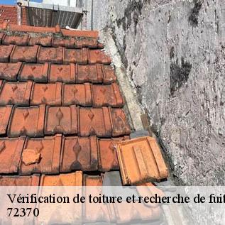 Vérification de toiture et recherche de fuite  72370