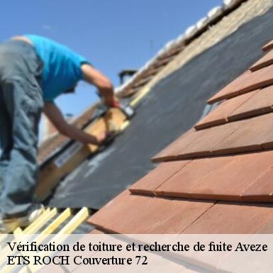 Vérification de toiture et recherche de fuite  72400