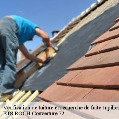 Vérification de toiture et recherche de fuite  72500