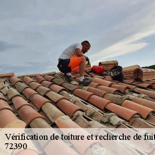 Vérification de toiture et recherche de fuite  72390