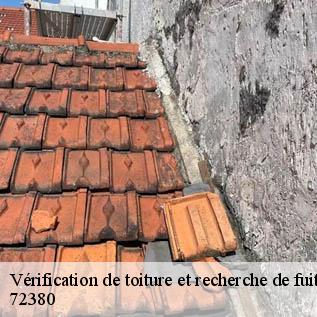 Vérification de toiture et recherche de fuite  72380