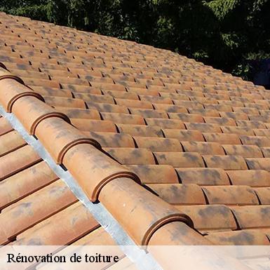 Rénovation de toiture  72700