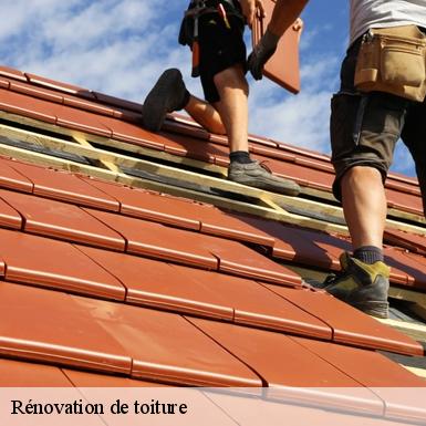Rénovation de toiture  72540