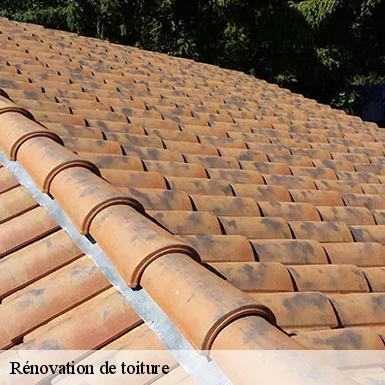 Rénovation de toiture  72320