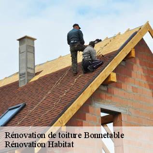 Rénovation de toiture  72110
