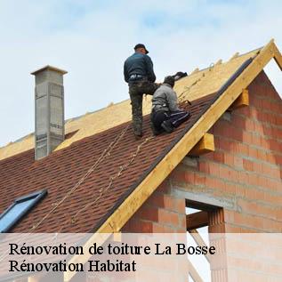 Rénovation de toiture  72400