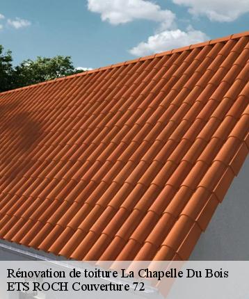 Rénovation de toiture  la-chapelle-du-bois-72400 ETS ROCH Couverture 72