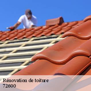 Rénovation de toiture  72600