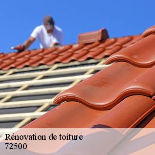 Rénovation de toiture  72500