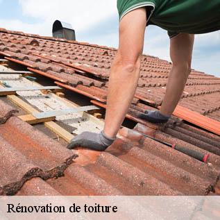 Rénovation de toiture  72500