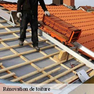 Rénovation de toiture  72500