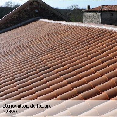 Rénovation de toiture  72390