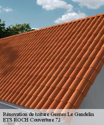 Rénovation de toiture  gesnes-le-gandelin-72130 ETS ROCH Couverture 72