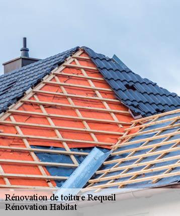Rénovation de toiture  requeil-72510 Rénovation Habitat 