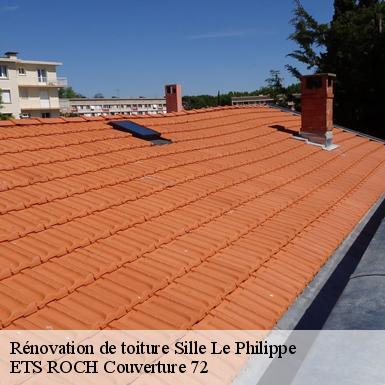 Rénovation de toiture  72460