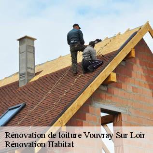Rénovation de toiture  72500