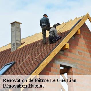 Rénovation de toiture  72170