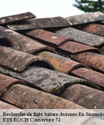 Recherche de fuite toiture  avesnes-en-saosnois-72260 ETS ROCH Couverture 72