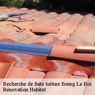 Recherche de fuite toiture  72610