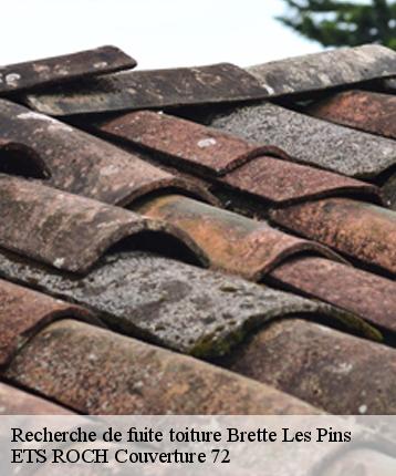 Recherche de fuite toiture  brette-les-pins-72250 ETS ROCH Couverture 72