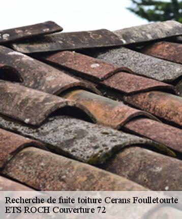 Recherche de fuite toiture  cerans-foulletourte-72330 ETS ROCH Couverture 72