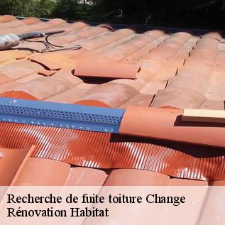 Recherche de fuite toiture  72560