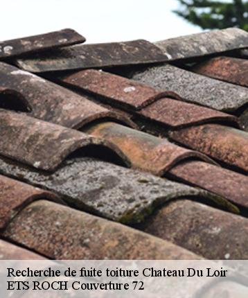 Recherche de fuite toiture  chateau-du-loir-72500 ETS ROCH Couverture 72