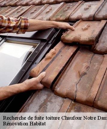 Recherche de fuite toiture  chaufour-notre-dame-72550 Rénovation Habitat 