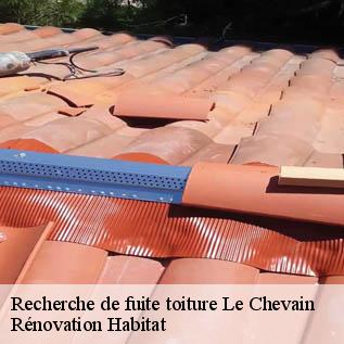 Recherche de fuite toiture  72610