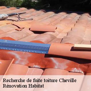 Recherche de fuite toiture  72350