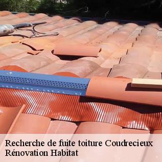 Recherche de fuite toiture  72440