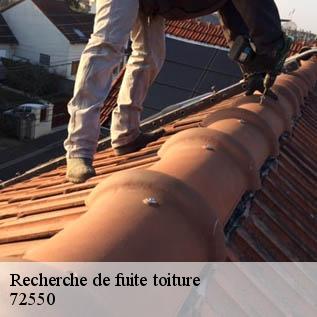 Recherche de fuite toiture  72550