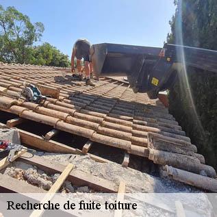 Recherche de fuite toiture  72550