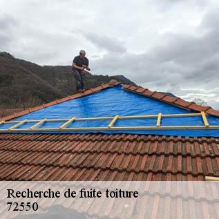 Recherche de fuite toiture  72550