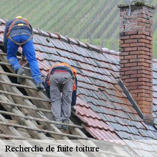 Recherche de fuite toiture  72550