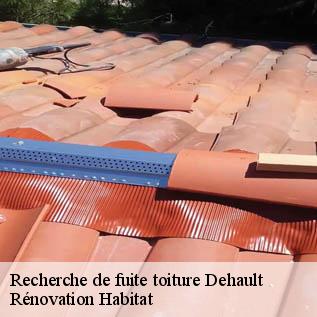 Recherche de fuite toiture  72400