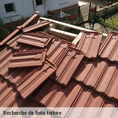 Recherche de fuite toiture  72590