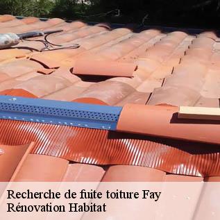 Recherche de fuite toiture  72550
