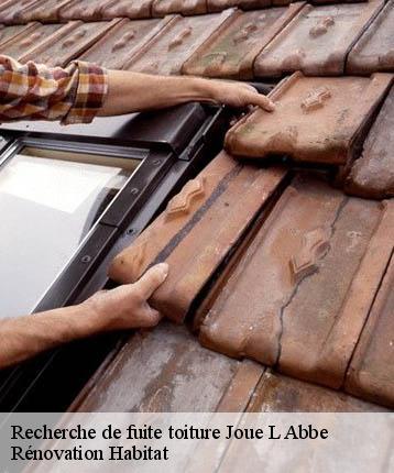 Recherche de fuite toiture  joue-l-abbe-72380 Rénovation Habitat 