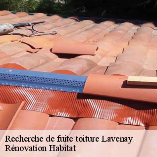 Recherche de fuite toiture  72310