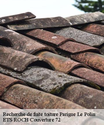Recherche de fuite toiture  parigne-le-polin-72330 ETS ROCH Couverture 72